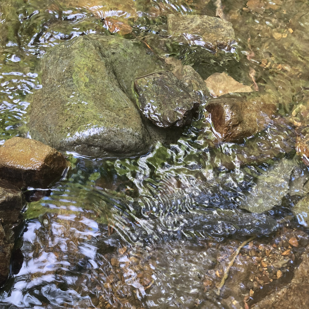 水のきれいな場所で、つくるということ
